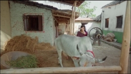 Tu Hi Re Dil Mein - 15th June 2026